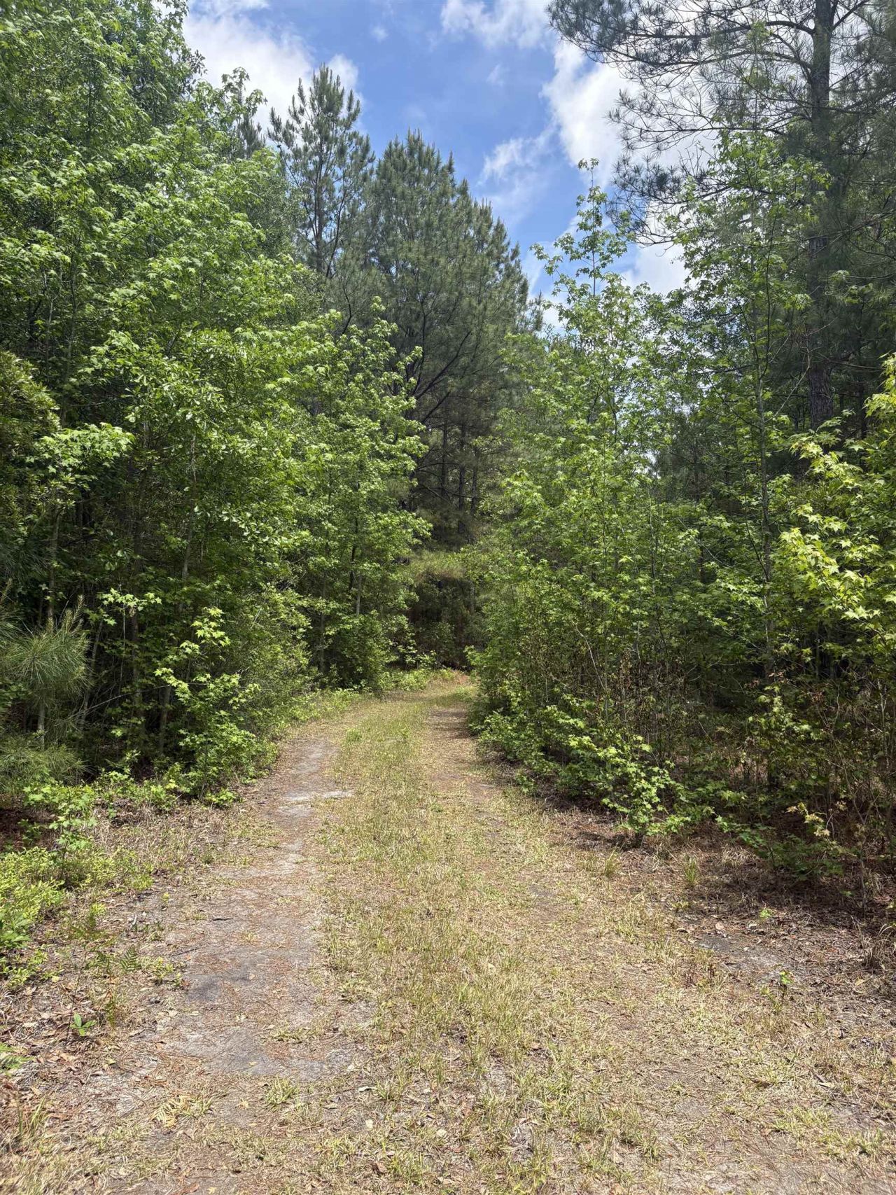 452 Tram Rd.  Photo 21