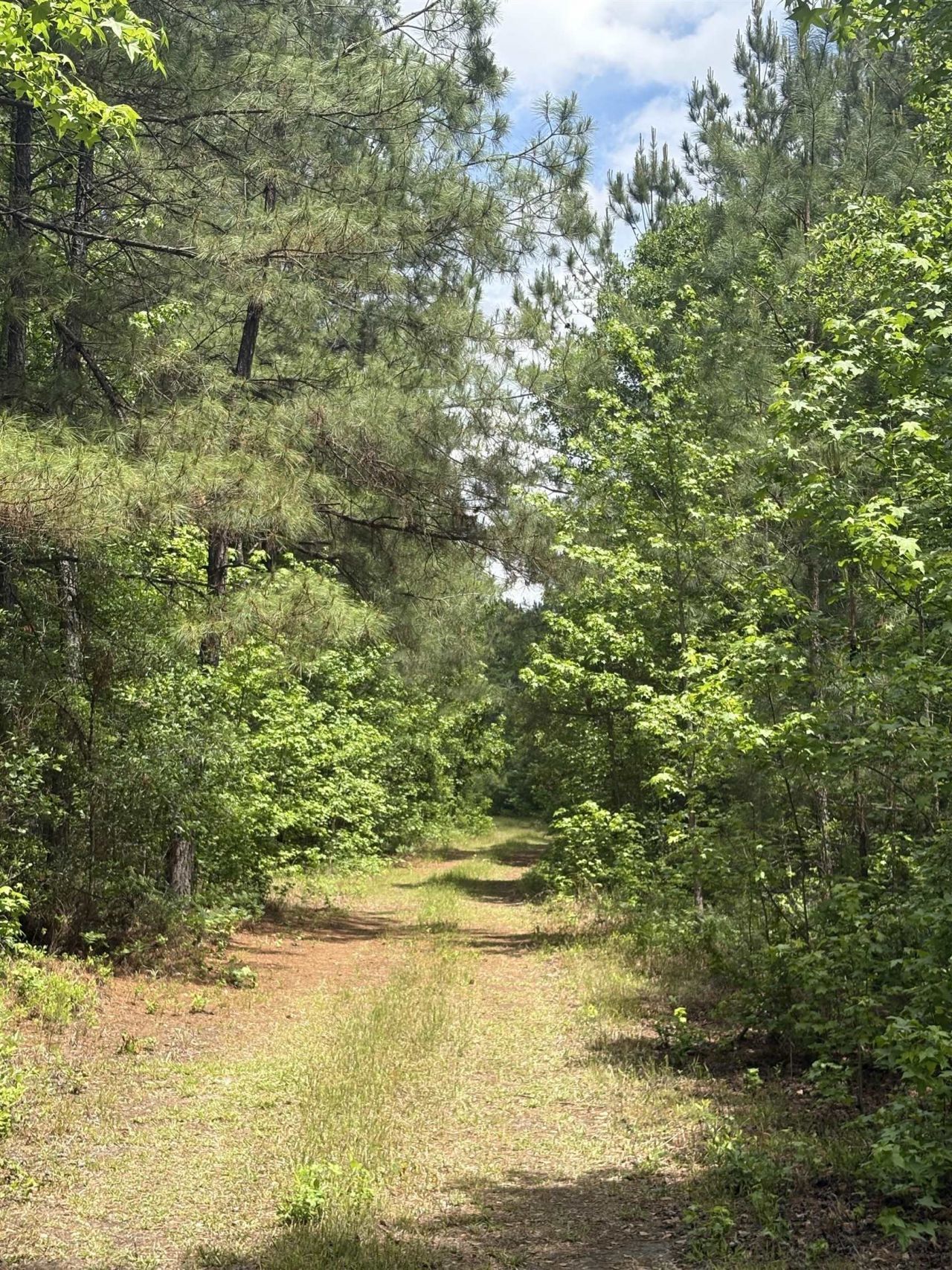 452 Tram Rd.  Photo 22