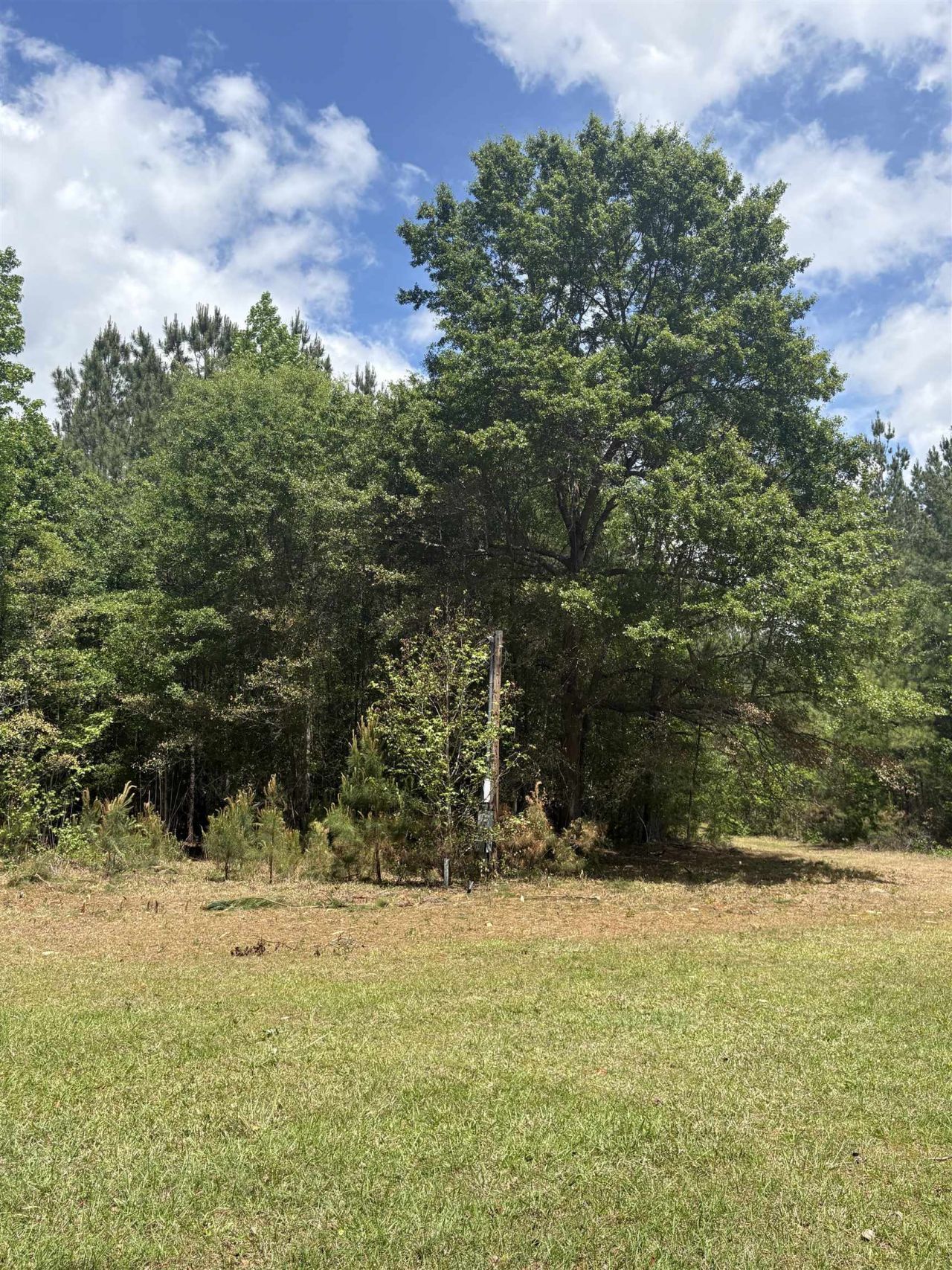 452 Tram Rd.  Photo 23