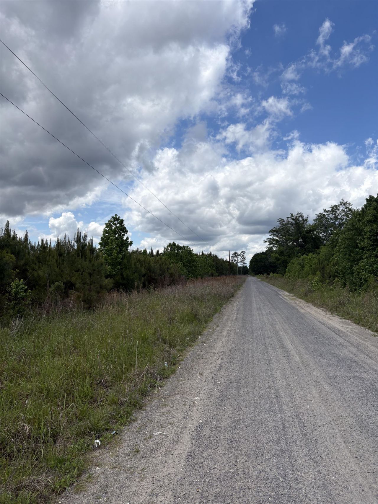 452 Tram Rd.  Photo 4