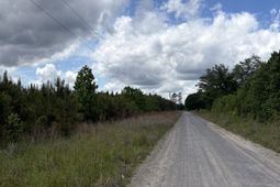 452 Tram Rd.  photo 4