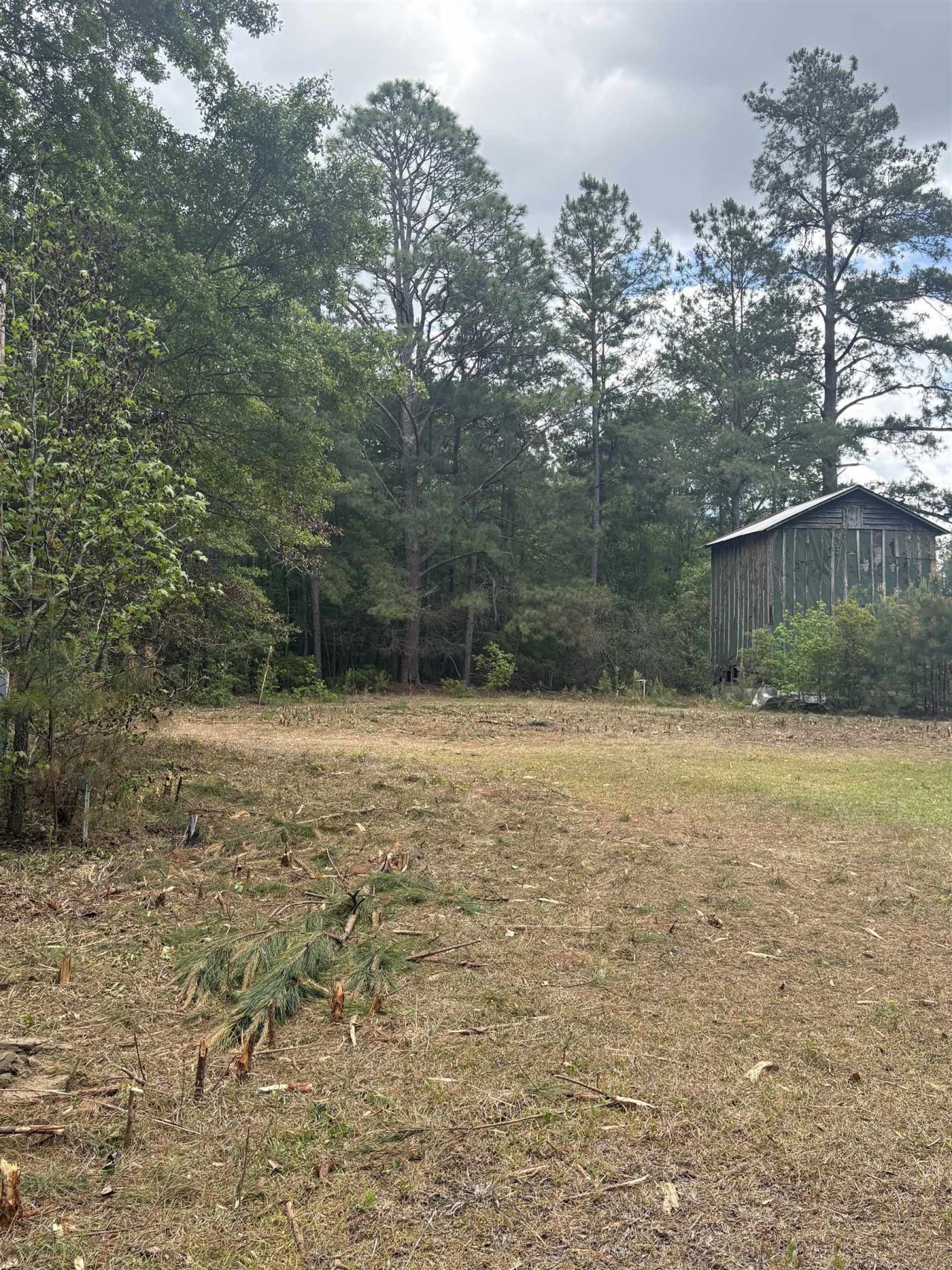 452 Tram Rd.  Photo 7