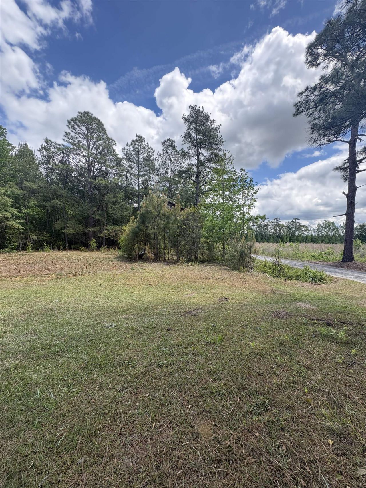452 Tram Rd.  Photo 8