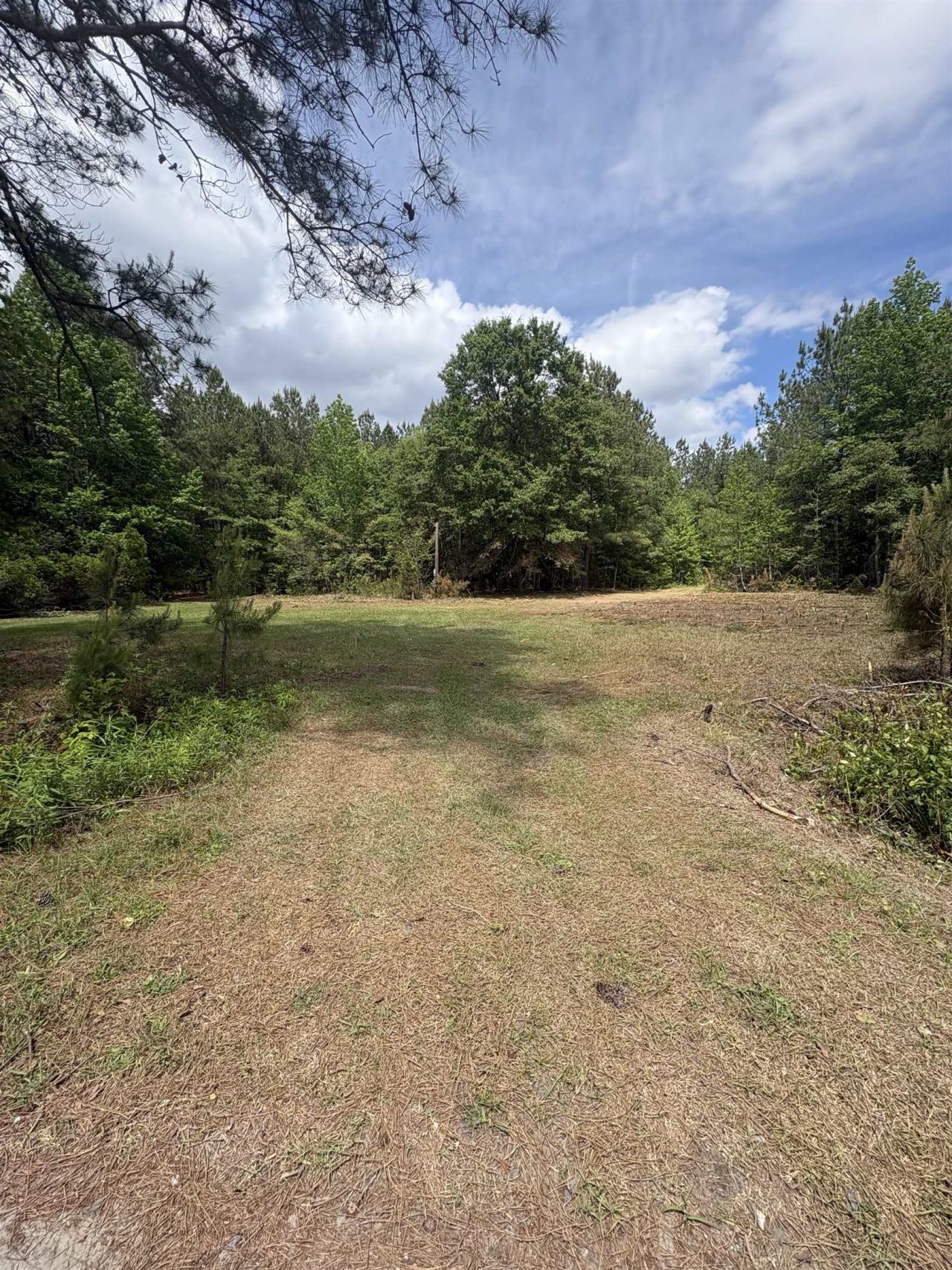 452 Tram Rd.  Photo 9