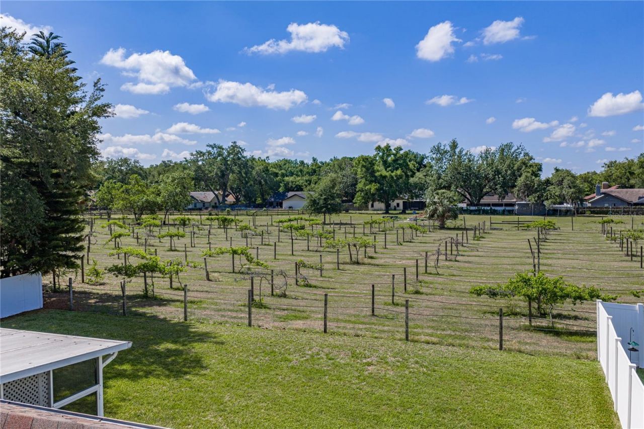 1035 Legends Pass Drive , Valrico, FL 33594 Photo