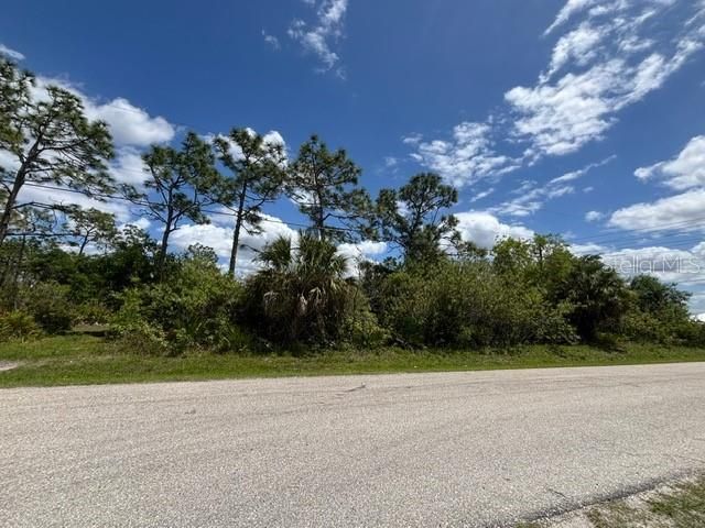 29305 Hazelwood Drive, Punta Gorda, FL 33982 Photo