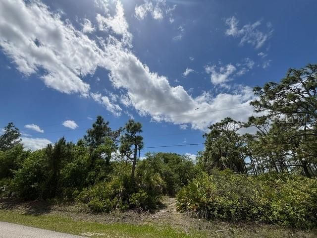 29305 Hazelwood Drive, Punta Gorda, FL 33982 Photo