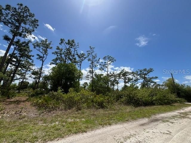 29305 Hazelwood Drive, Punta Gorda, FL 33982 Photo