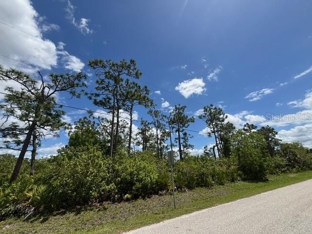 29305 Hazelwood Drive, Punta Gorda, FL 33982 Photo