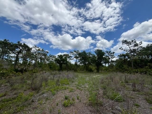 29305 Hazelwood Drive, Punta Gorda, FL 33982 Photo