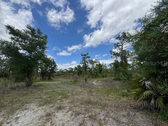 29305 Hazelwood Drive, Punta Gorda, FL 33982 Photo