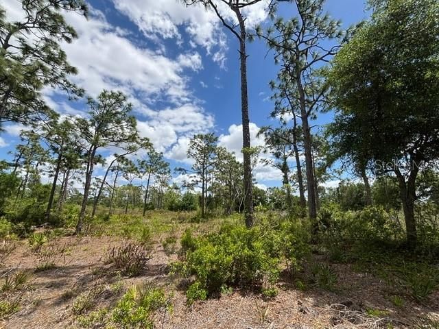 29305 Hazelwood Drive, Punta Gorda, FL 33982 Photo