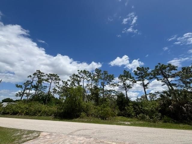 29305 Hazelwood Drive, Punta Gorda, FL 33982 Photo