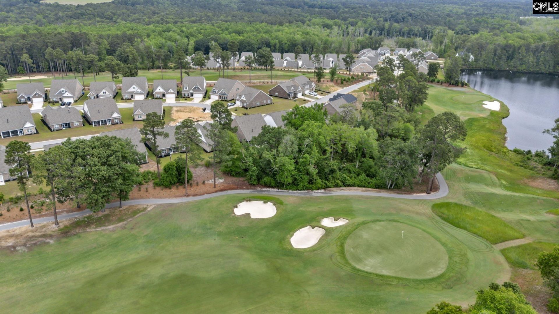 174 Backspin Drive  Photo 42