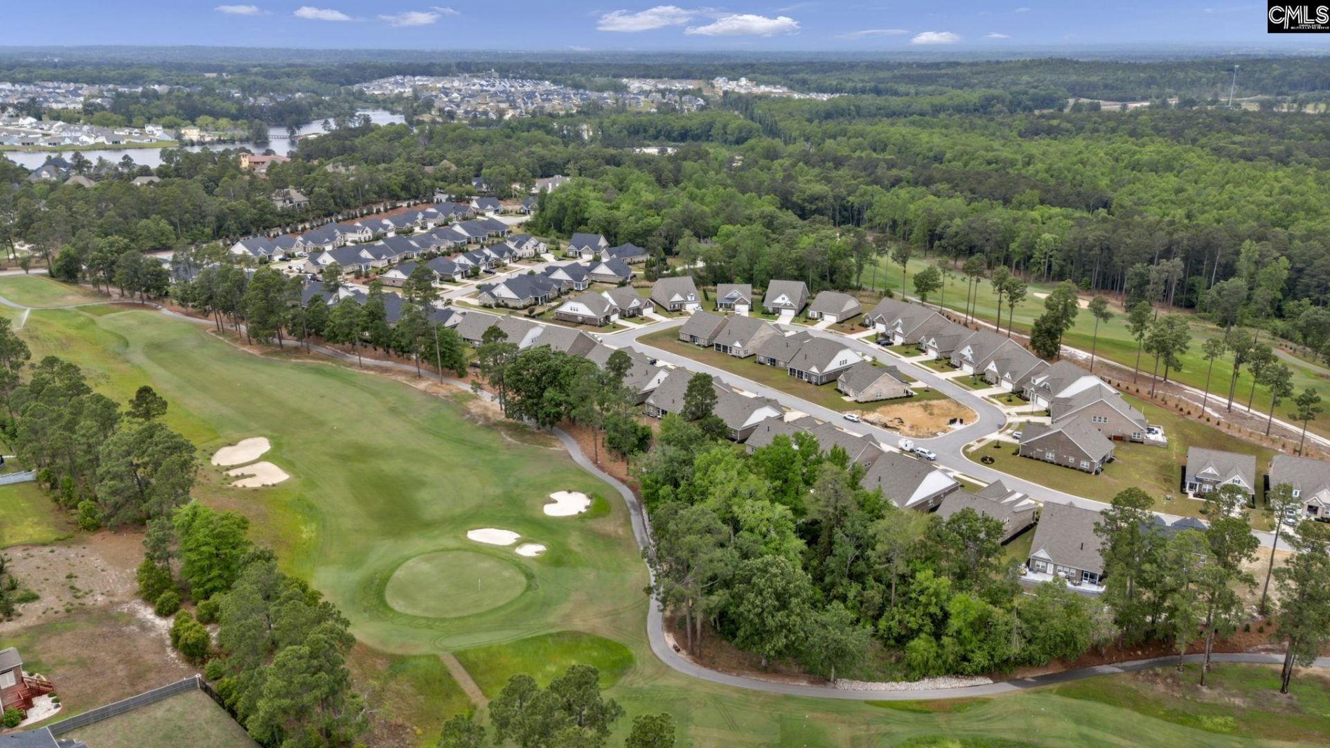 174 Backspin Drive  Photo 43