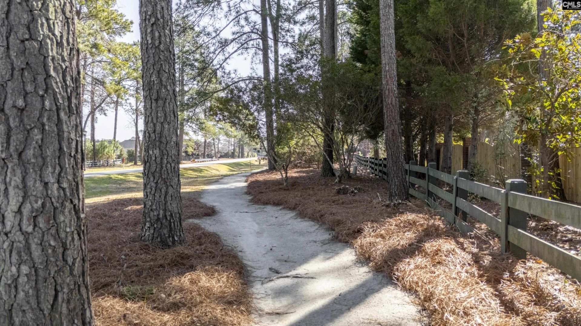 174 Backspin Drive  Photo 49