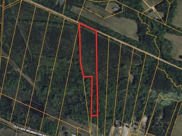 0 Near 11835 Old Lake, Riegelwood, NC 28456