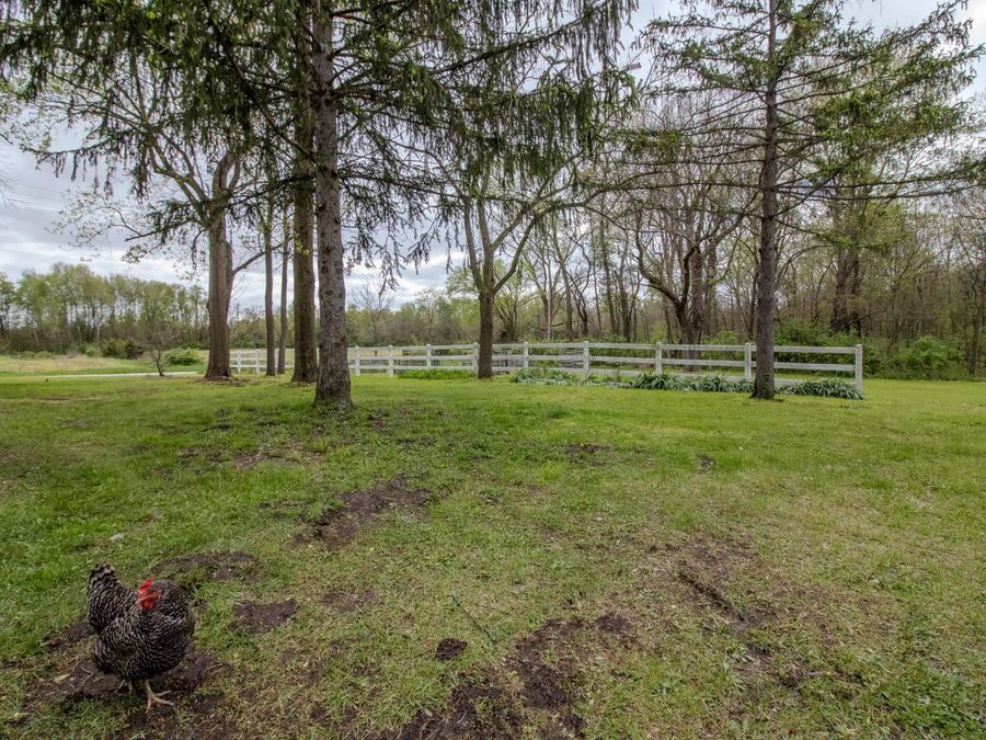 Property Image 34
