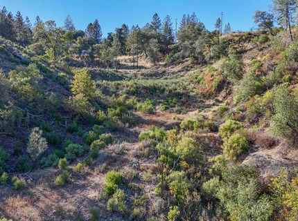 242 Montgomery Dr, Mokelumne Hill, CA 95245 Photo