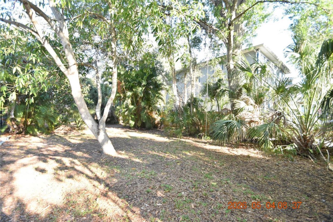 2801 Sanders Drive, Tampa, FL 33611 Photo