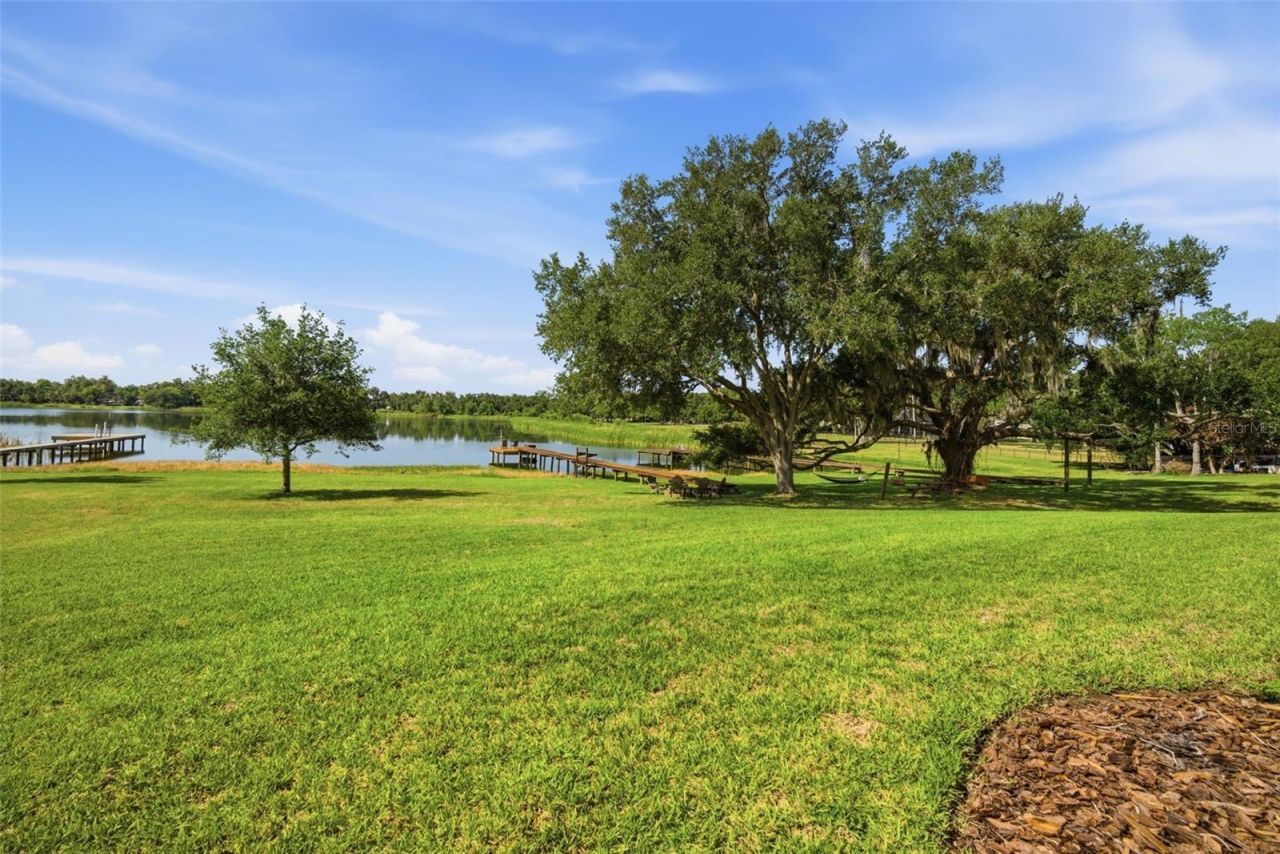 805 Hickory Fork Drive, Seffner, FL 33584 Photo