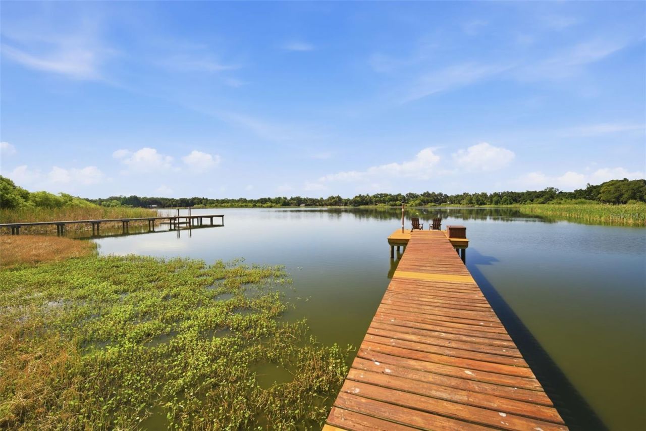 805 Hickory Fork Drive, Seffner, FL 33584 Photo