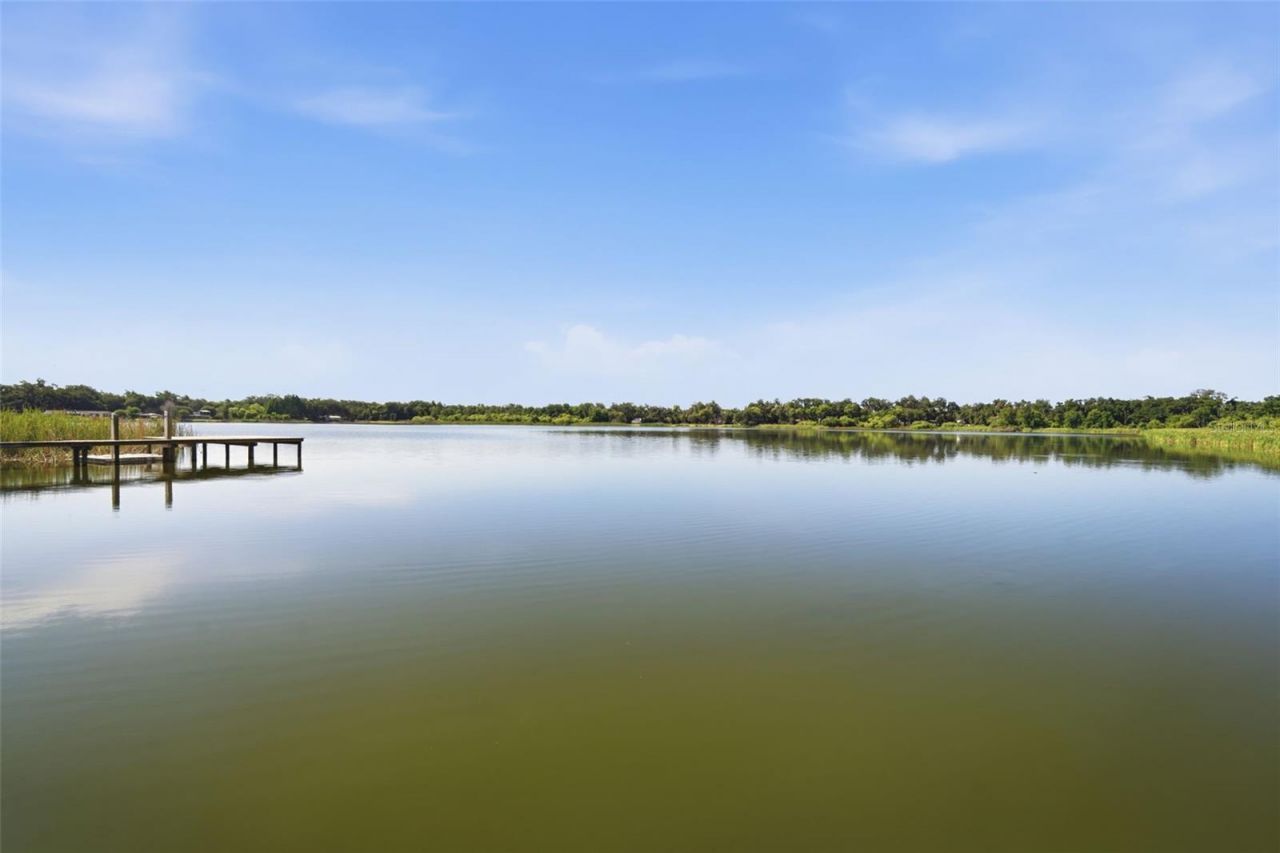 805 Hickory Fork Drive, Seffner, FL 33584 Photo