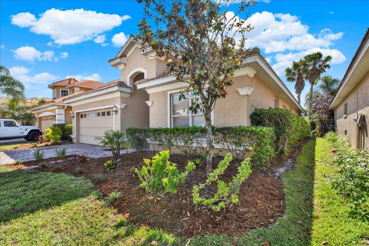 18019 Java Isle Drive , Tampa, FL 33647 Photo