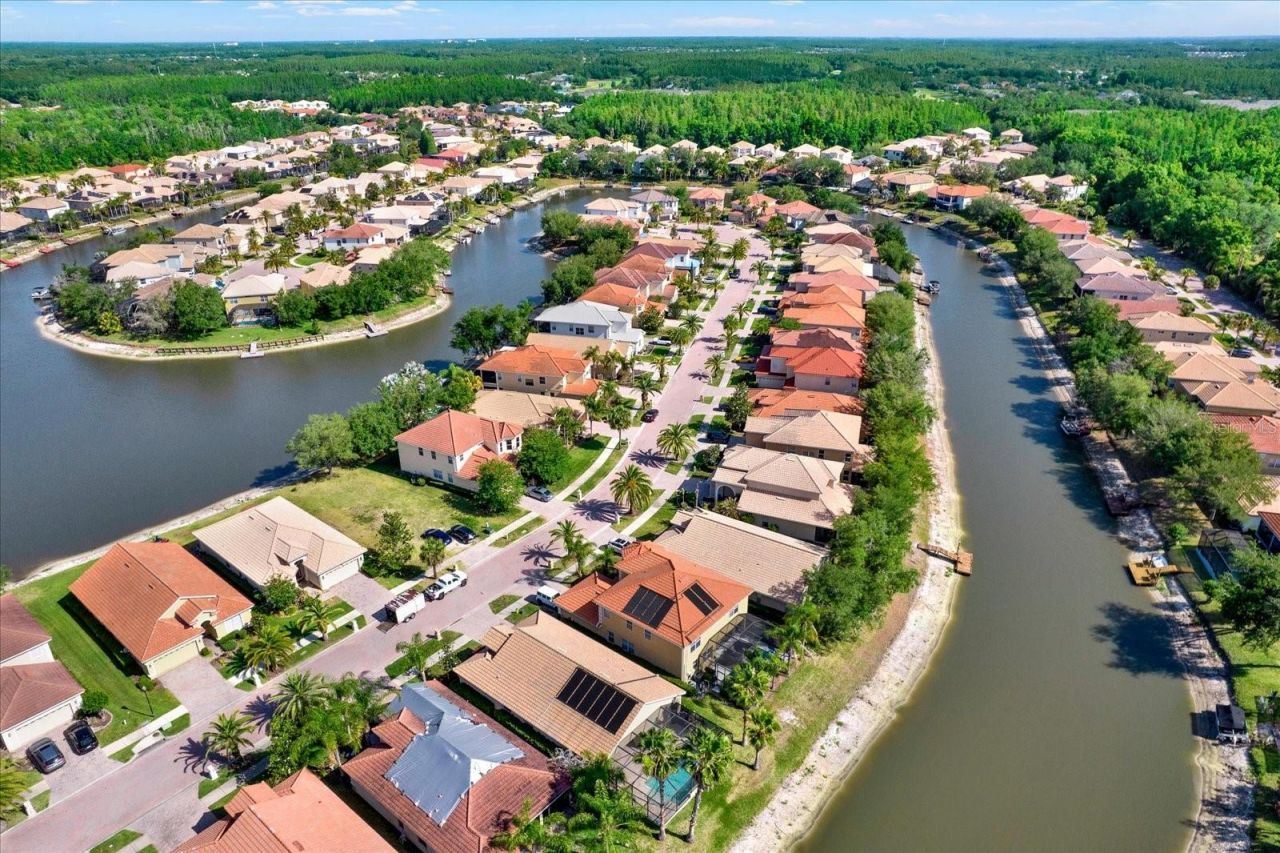18019 Java Isle Drive , Tampa, FL 33647 Photo