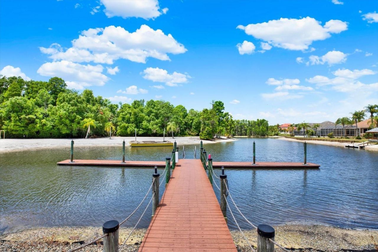 18019 Java Isle Drive , Tampa, FL 33647 Photo