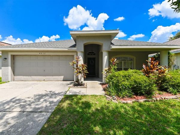 4517 WILD PLUM LANE , LUTZ, FL 33558
