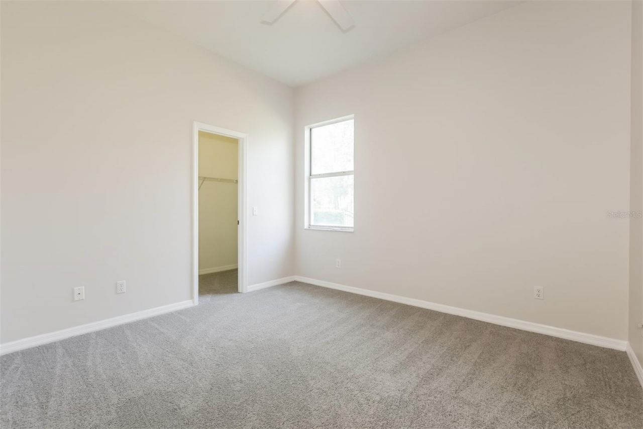 3810 Spruce Pine Drive, Valrico, FL 33596 Photo