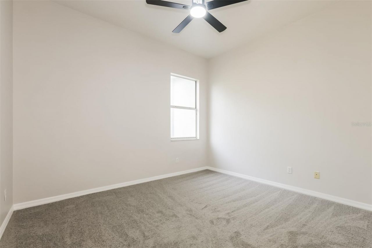 3810 Spruce Pine Drive, Valrico, FL 33596 Photo