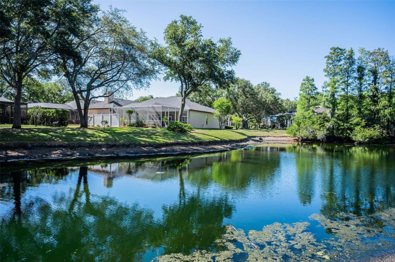1802 Oak Ridge Road , Safety Harbor, FL 34695 Photo