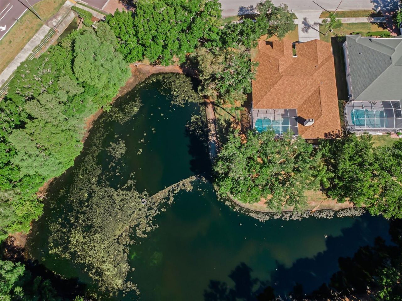 1802 Oak Ridge Road , Safety Harbor, FL 34695 Photo
