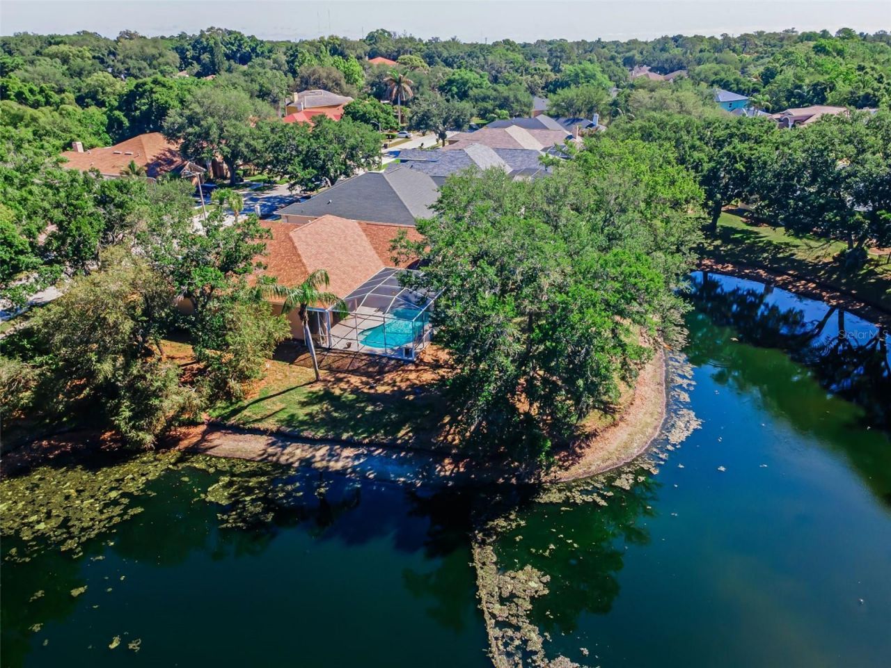 1802 Oak Ridge Road , Safety Harbor, FL 34695 Photo