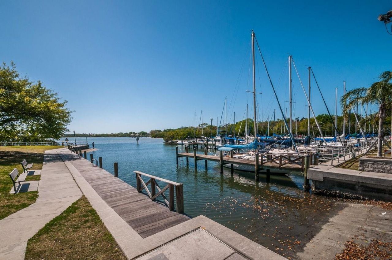 1802 Oak Ridge Road , Safety Harbor, FL 34695 Photo