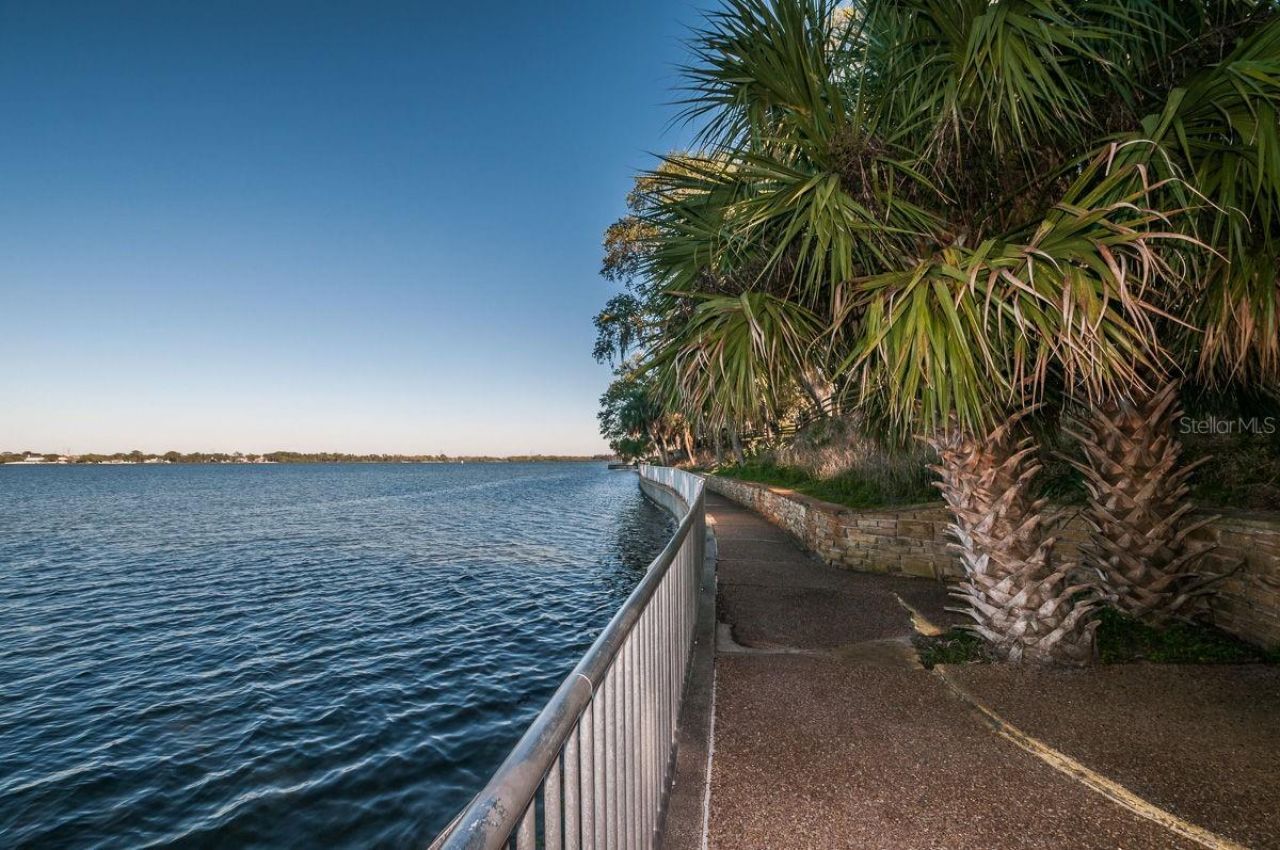 1802 Oak Ridge Road , Safety Harbor, FL 34695 Photo