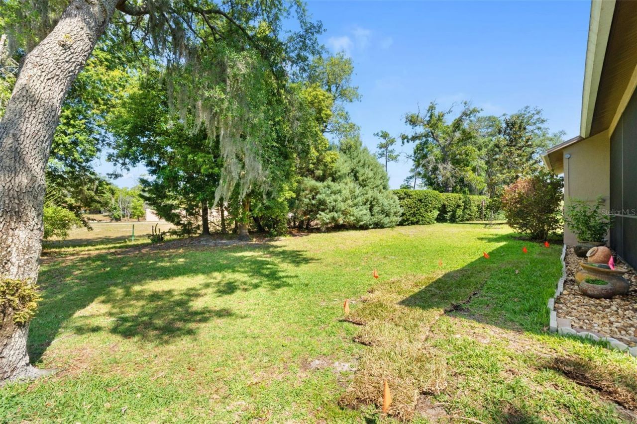 10311 Pineneedles Drive , New Port Richey, FL 34654 Photo