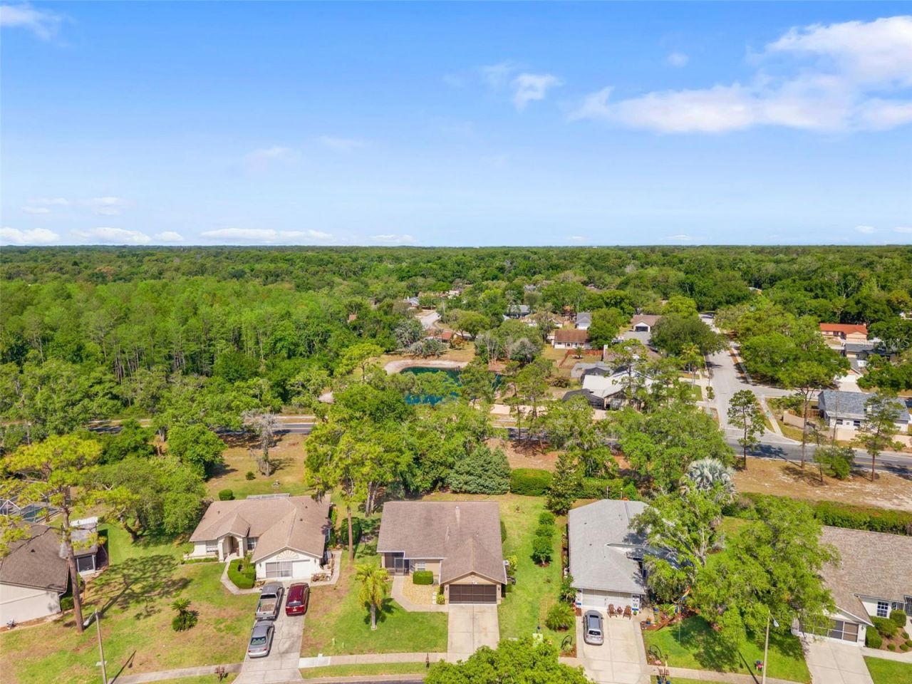 10311 Pineneedles Drive , New Port Richey, FL 34654 Photo