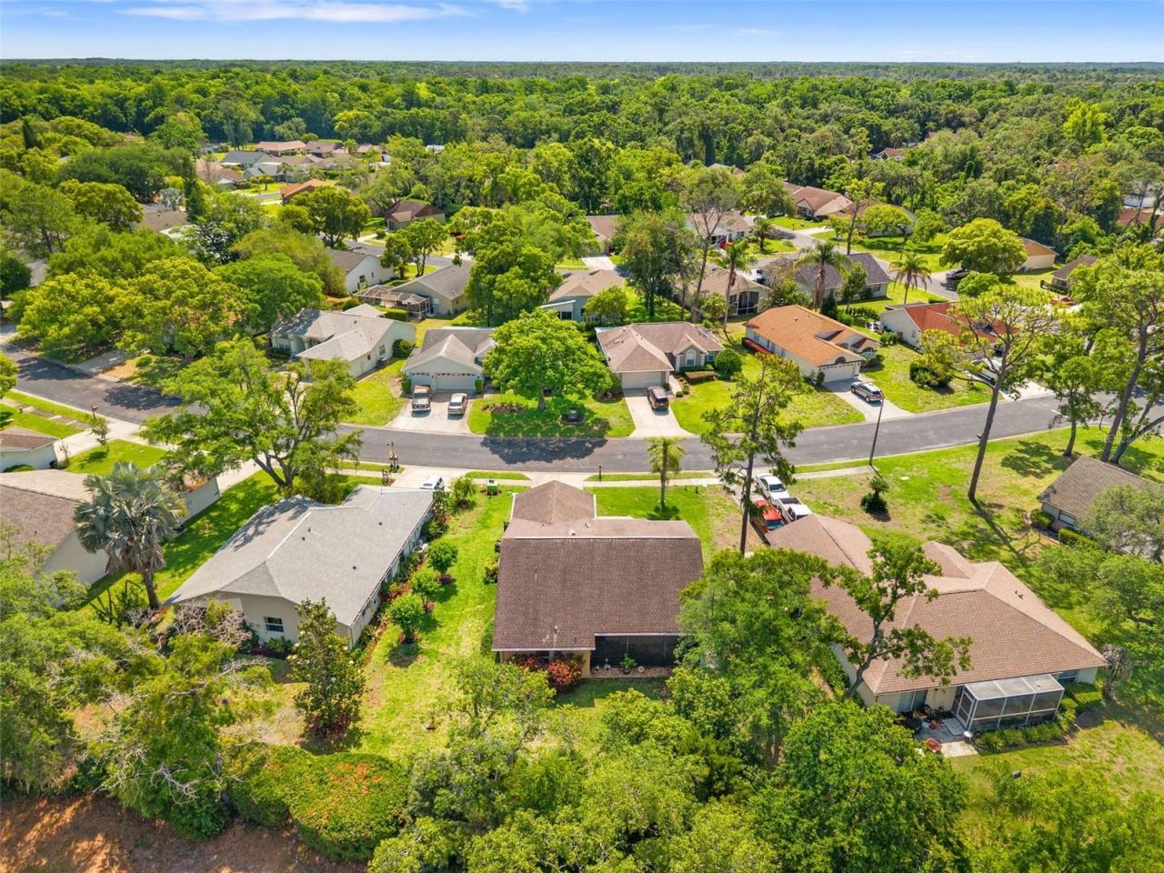 10311 Pineneedles Drive , New Port Richey, FL 34654 Photo