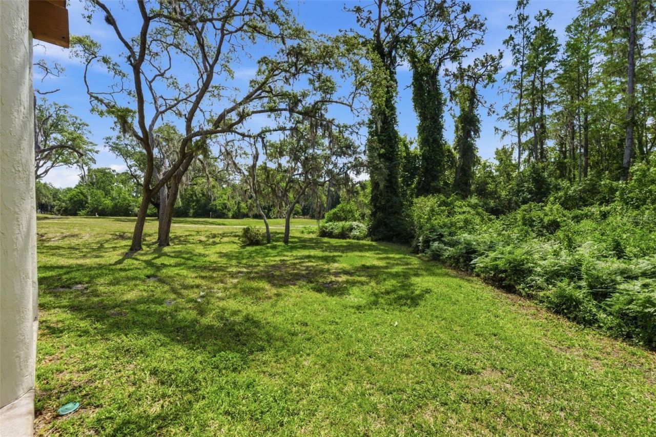 10311 Pineneedles Drive , New Port Richey, FL 34654 Photo