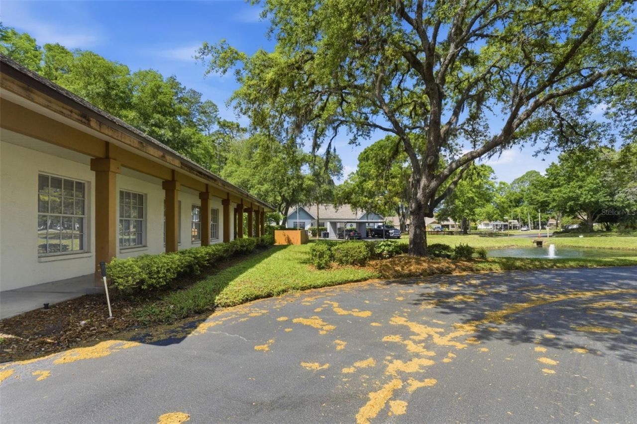 10311 Pineneedles Drive , New Port Richey, FL 34654 Photo
