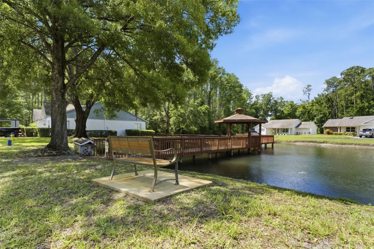10311 Pineneedles Drive , New Port Richey, FL 34654 Photo
