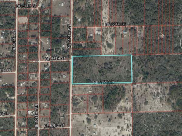 TBD NE 110 AVENUE, BRONSON, FL 32621