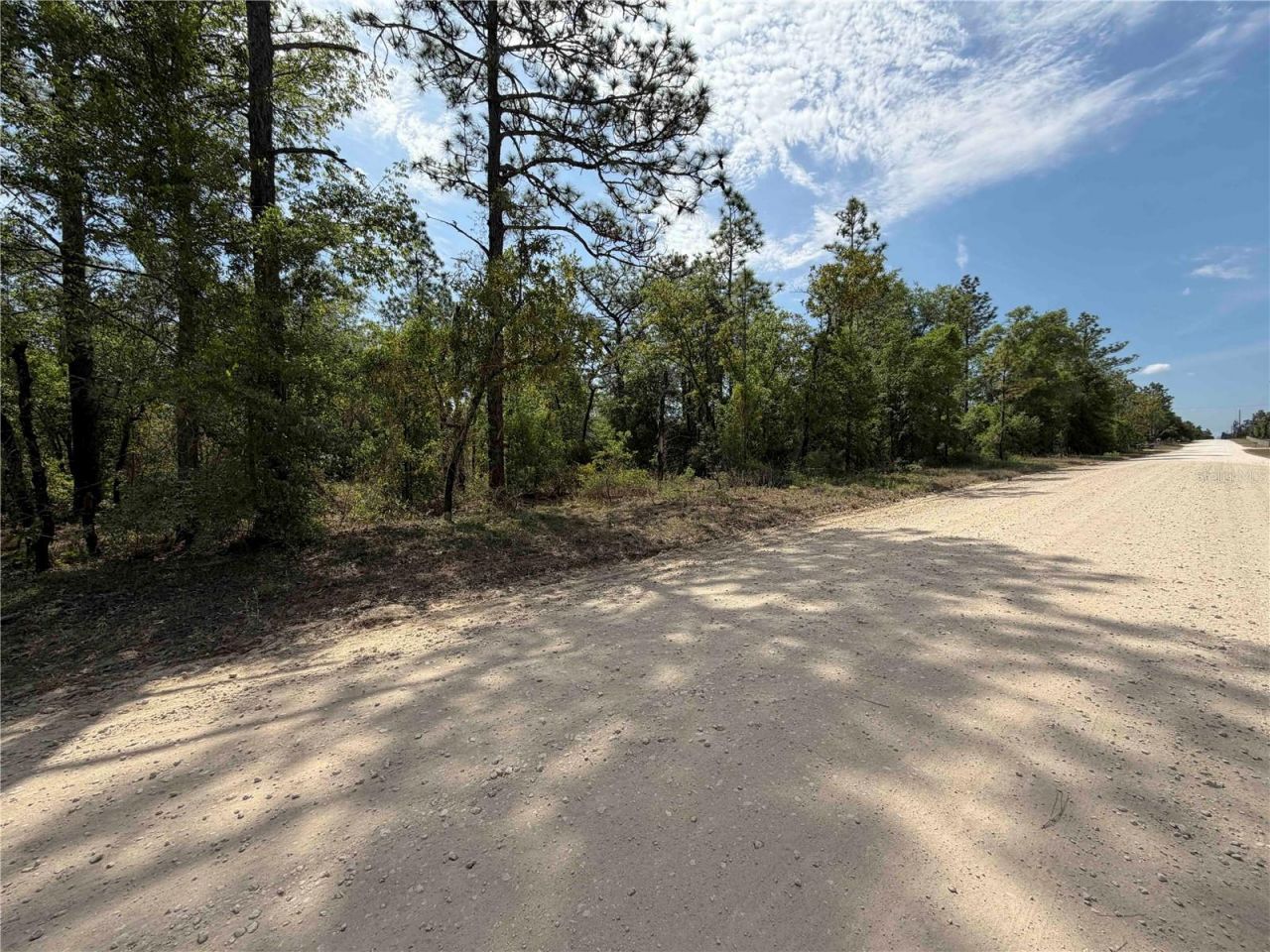 Tbd NE 110 Avenue, Bronson, FL 32621 Photo