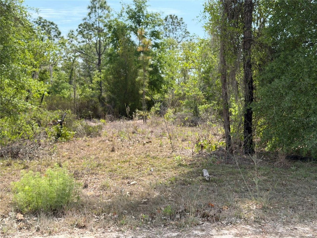 Tbd NE 110 Avenue, Bronson, FL 32621 Photo