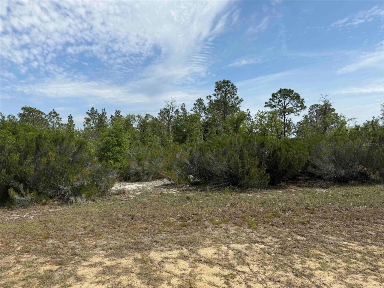 Tbd NE 110 Avenue, Bronson, FL 32621 Photo