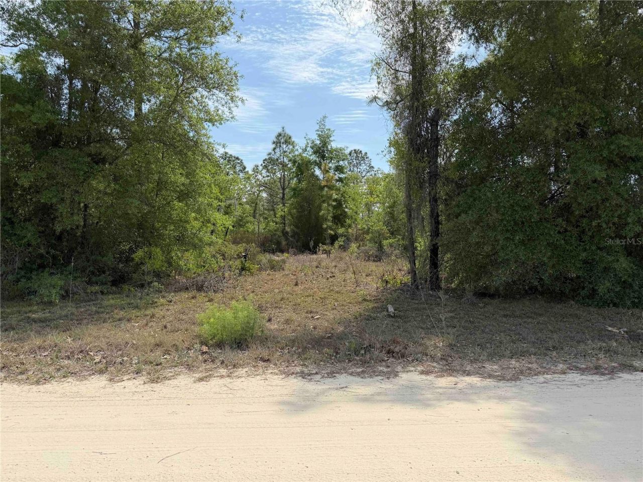 Tbd NE 110 Avenue, Bronson, FL 32621 Photo