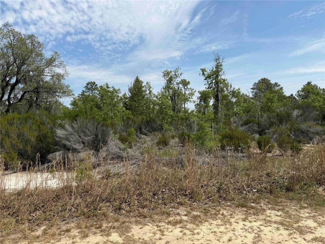 Tbd NE 110 Avenue, Bronson, FL 32621 Photo